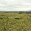 View from the SSW of recumbent stone circle, North Strone.