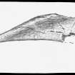 Scanned image of a drawing of a bone point.