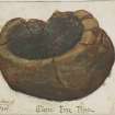 Scanned image of drawing of a vessel, entitled: 'Hillhead 1901, Stone Fire Place'.