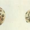 Scanned image of a watercolour drawing of two painted pebbles from the excavations by Sir Francis Tress Barry at Keiss.