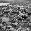 View of the excavation at Loch Glashan crannog.