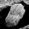 View of cup-marked stone.
Copy of black and white slide.