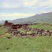 Copy of colour slide, East Lix Township -   ruins of  (?)farmstead.
NMRS Survey of Private Collection 
Digital Image Only
