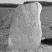 View of face of Bruceton Pictish symbol stone.
