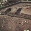 View of excavations, including palisade enclosure, entrance and grave complex.