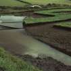 View of waterlogged south palisade.