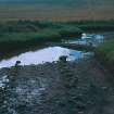 General view of waterlogged site.