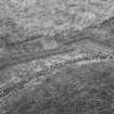 Views of palisade trench.