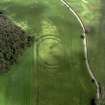 Oblique aerial view centred on the cropmarks of the fort, taken from the NW.