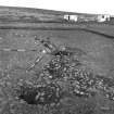 View of excavations in timber hall area.