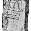 Digital image of sculptured stone from Grantown. Proc. Soc. Antiq. Scot., viii, 219.