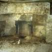 View of kitchen fireplace