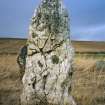 View of outlying stone, Balquhain