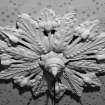 Interior.
Detail of ceiling rose.