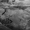 Oblique aerial view centred on the remains of the unenclosed settlement, field system and rig, looking to the NE.