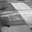 Oblique aerial view centred on the cropmarks of a palisaded enclosure, roundhouse, pits and rig at Suttie, looking to the SSE.

