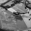 Oblique aerial view centred on the cropmarks of the enclosure and possible ring ditch at Haughs of Ashogle, looking to the SE.