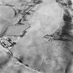 Oblique aerial view centred on the remains of the homestead moat, taken from the SE.