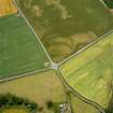 Eckford, oblique aerial view, taken from the NE, centred on the cropmarks of an enclosure suurrounding a barrow and pit-circle.