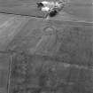 Oblique aerial view centred on the cropmarks of a circular enclosure at Shannas, looking to the SSE.