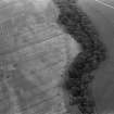 Oblique aerial view centred on the cropmarks of the enclosed settlement at Wellford, looking to the ESE.