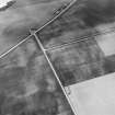 Oblique aerial view centred on the cropmarks of the roundhouses and ring ditches of the unenclosed settlement at Newbigging, looking to the SW.