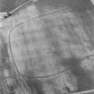 Oblique aerial view centred on the cropmarks of the enclosed settlement, ditch defined cursus, enclosure, ring ditches, barrows, pits and rig at Powis and Old Montrose, looking to the NW.