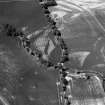 Oblique aerial view centred on the cropmarks of the possible enclosure and ring ditches at Haughs of Kinnaird, looking to the SW.