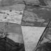 Oblique aerial view centred on the cropmarks of the unenclosed settlement, ring ditches, enclosures, rig and pits at Inverkeilor and Ironshill, looking to the SE.