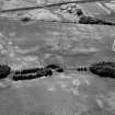 Oblique aerial view centred on the cropmarks of the enclosure, barrow, linear features, pits and rig with the farm adjacent at Gilrivie, looking to the SSE.