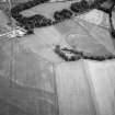 Oblique aerial view centred on the cropmarks of the circular enclosure, ring ditch and linear features at Haughs of Ashogle, looking to the ESE.