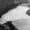 Oblique aerial view centred on the cropmarks of the barrow and pits at Mill of Kincraigie, looking to the NE.