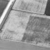 Oblique aerial view centred on the cropmarks of the souterrains and possible enclosure at Upper Powburn, looking to the NNE.