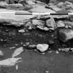 On-line Digital Images