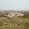 View of chambered cairn from NW.
Digital copy of photograph.