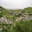 View of broch from S