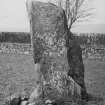 View of the Picardy Stone, Pictish symbol stone, Myreton Farm, Aberdeenshire.
Original half-plate glass negative captioned: 'Sculptured Stone at Myreton near INSCH'.