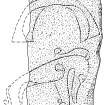 Scanned ink drawing of Clatt 3 Pictish symbol stone