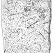 Scanned Ink drawing of Tillytarmont 5 Pictish symbol stone.