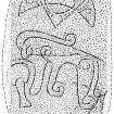 Scanned ink drawing of Fyvie 1 Pictish symbol stone.
