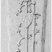 Sketch of medieval diamond-interlace headed graveslab.
