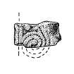 Drawing of sculptured stone fragment, Drainie no.5.