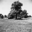 Digital copy of excavation photograph: view of site before excavation from NE (see also SC 1092034).