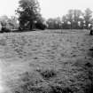 Digital copy of excavation photograph: general view of SW quarter.