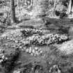 On-line Digital Images