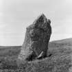 General view of standing stone