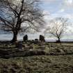 Copy of colour slide (H 93782cs), view of recumbent stone circle from SW.