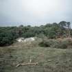 Copy of slide (H 93793cs) of recumbent stone circle before clearance of vegetation.