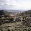 Copy of colour slide (H 93797cs) showing view to SW from recumbent stone circle.