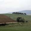 Copy of colour slide (H 93818cs) showing (in distance) the location of the recumbent stone circle, viewed from the W.